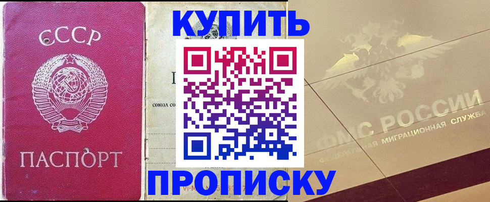 прописка для школы в Камчатской области